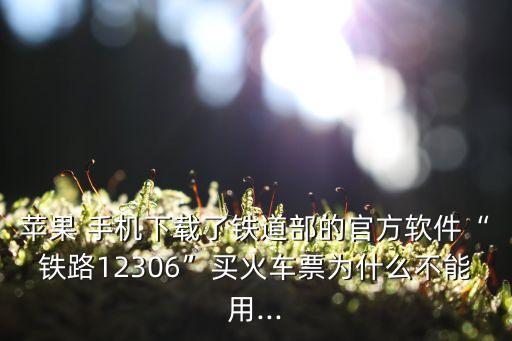 苹果 手机下载了铁道部的官方软件“铁路12306”买火车票为什么不能用...