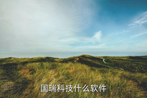 安防系统软件公司