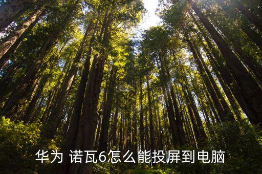 诺瓦系统软件下载,诺瓦led播放软件下载