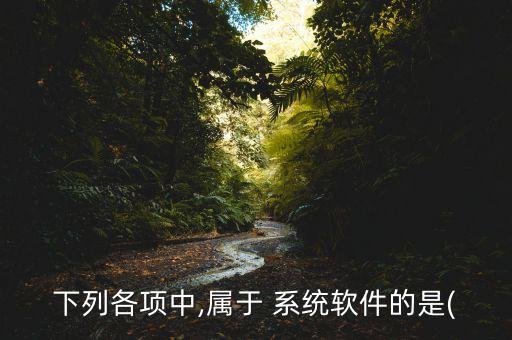 下列各项中,属于 系统软件的是(