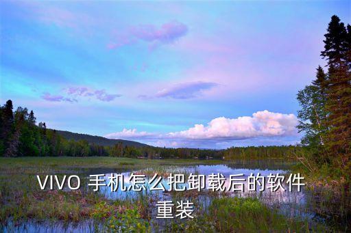 怎么重装vivo手机系统软件,手机重装电脑系统软件