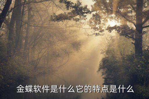  金蝶软件是什么它的特点是什么