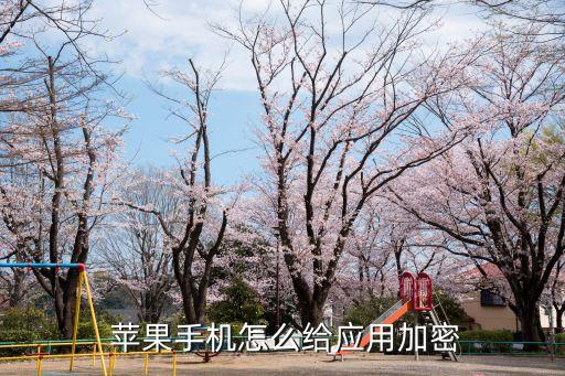  苹果手机怎么给应用加密