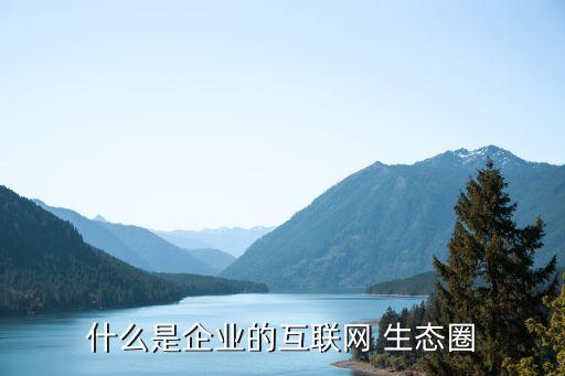什么是企业的互联网 生态圈