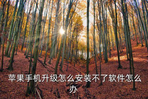  苹果手机升级怎么安装不了软件怎么办