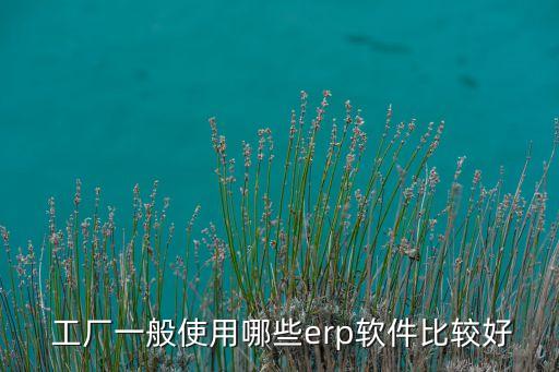  工厂一般使用哪些erp软件比较好