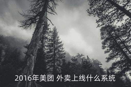 2016年美团 外卖上线什么系统