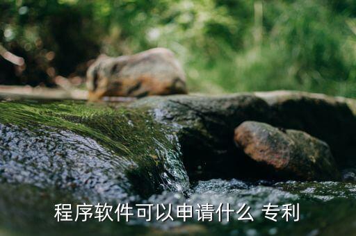 程序软件可以申请什么 专利
