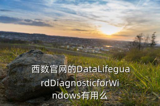  西数官网的DataLifeguardDiagnosticforWindows有用么