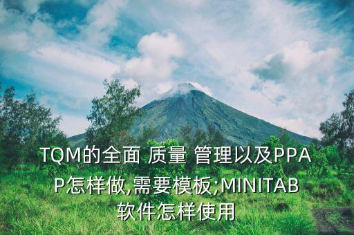 TQM的全面 质量 管理以及PPAP怎样做,需要模板;MINITAB软件怎样使用