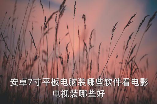 安卓7寸平板电脑装哪些软件看电影电视装哪些好