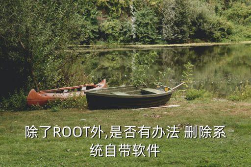除了ROOT外,是否有办法 删除系统自带软件
