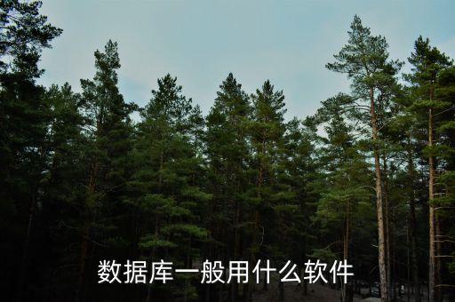 数据库系统有哪些系统软件,请问数据库系统软件有哪些?