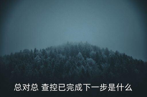 查控系统软件,总对总网络查控系统