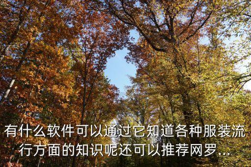 针织辅料系统软件