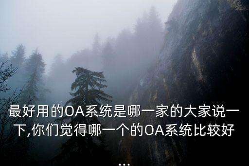 最好用的OA系统是哪一家的大家说一下,你们觉得哪一个的OA系统比较好...