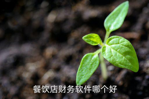  餐饮店财务软件哪个好
