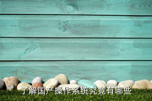 了解国产操作系统究竟有哪些