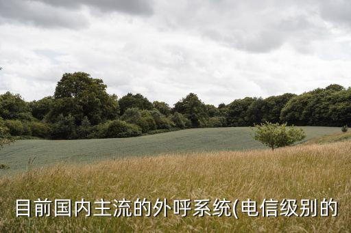 目前国内主流的外呼系统(电信级别的