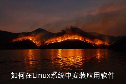 怎么装在linux系统软件,Linux有系统软件功能吗
