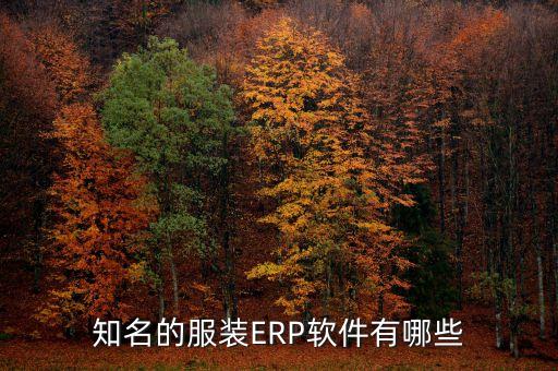 知名的服装ERP软件有哪些