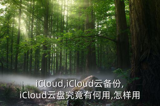 iCloud,iCloud云备份,iCloud云盘究竟有何用,怎样用
