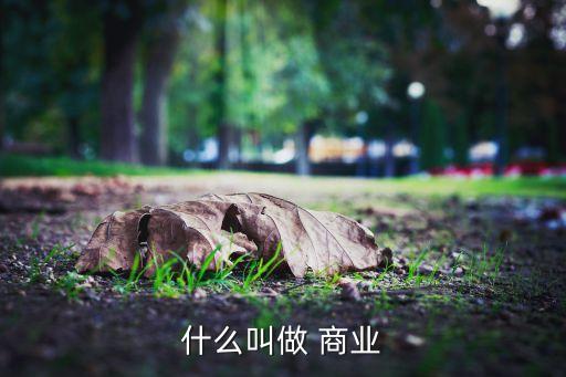 商业策划公司系统软件