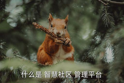 什么是 智慧社区 管理平台