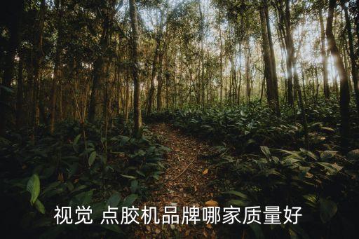 广州智能点胶系统软件,广州自动智能点胶机平台底座怎么样