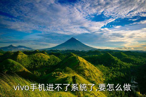 vivo手机进不了系统了,要怎么做