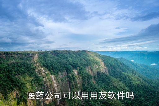  医药公司可以用用友软件吗