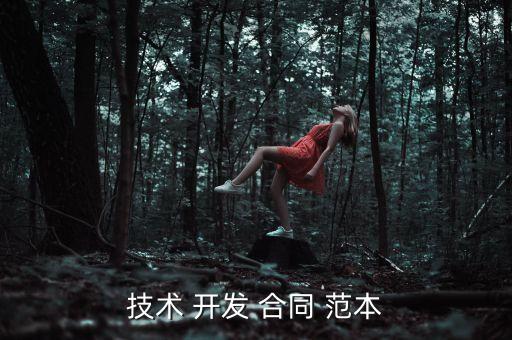 云系统软件开发合同范本,软件开发合同1-合同范本模板