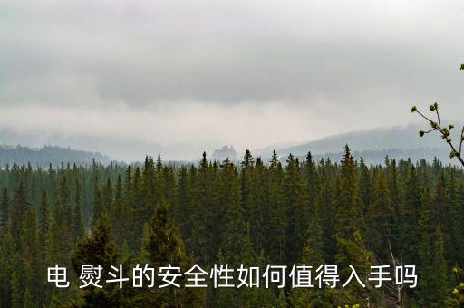 电 熨斗的安全性如何值得入手吗