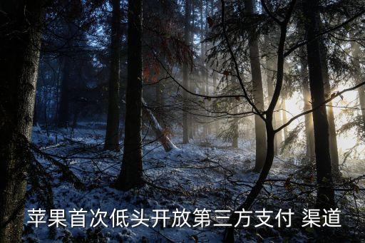 苹果系统软件渠道管理在哪,苹果首次低头开放第三方支付渠道苹果遵守命令
