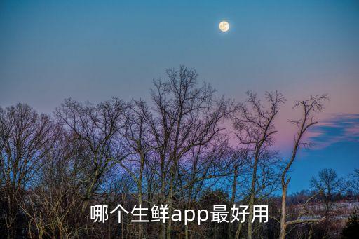 哪个生鲜app最好用