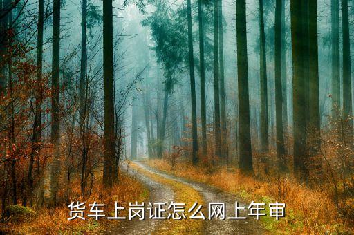 货车上岗证怎么网上年审