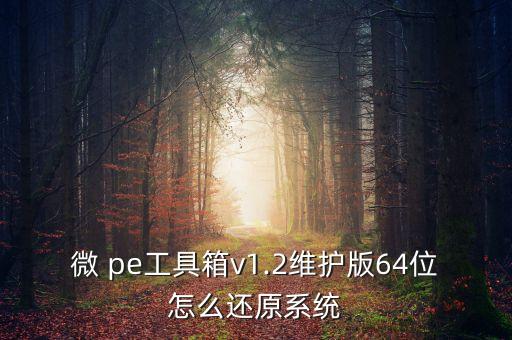 微 pe工具箱v1.2维护版64位怎么还原系统