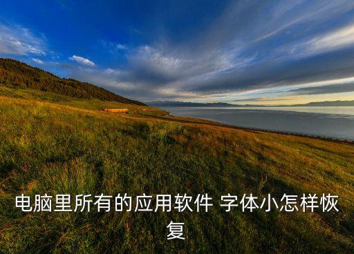电脑里所有的应用软件 字体小怎样恢复