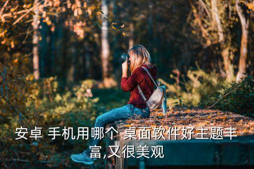 安卓 手机用哪个 桌面软件好主题丰富,又很美观