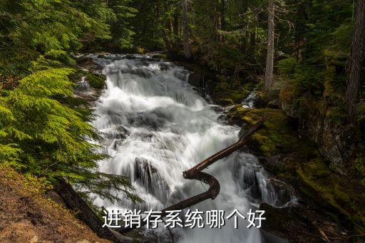 吉林软件进销存系统软件,常用的进销存系统软件有哪些