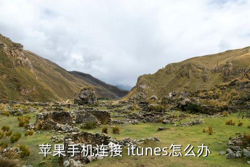 苹果手机连接 itunes怎么办