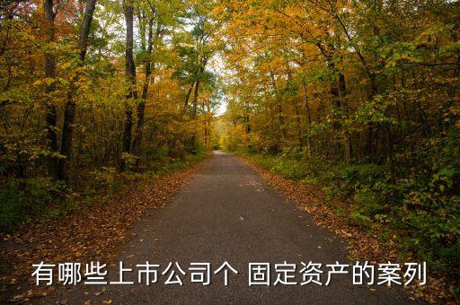 有哪些上市公司个 固定资产的案列