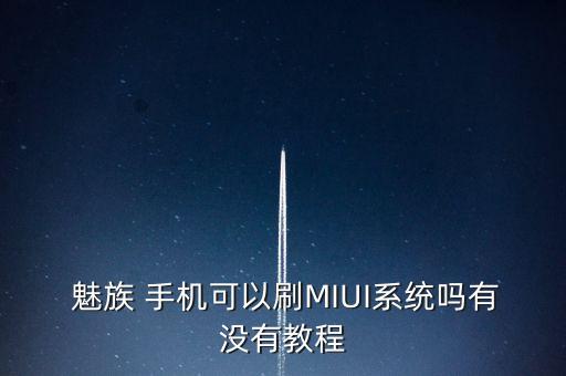  魅族 手机可以刷MIUI系统吗有没有教程