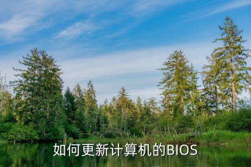 如何更新计算机的BIOS