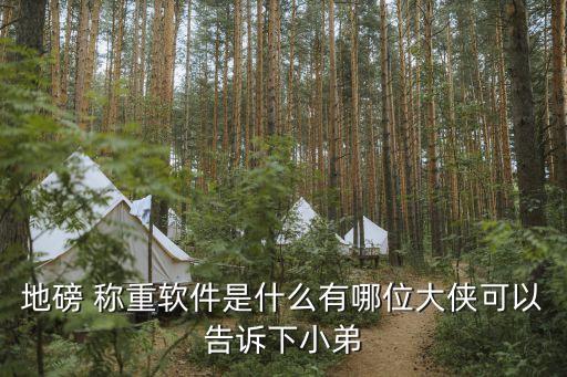 绍兴无人值守称重系统软件,无人值守地磅系统软件哪家好用