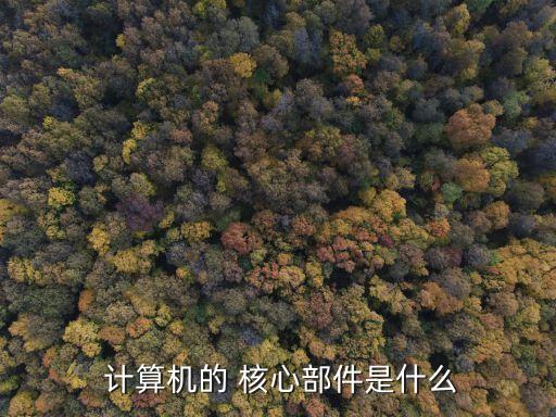 计算系统软件核心,多媒体核心系统软件主要指