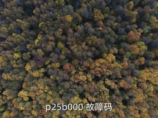 p25b000 故障码