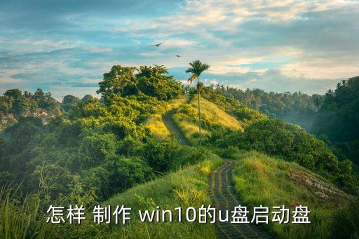 怎样 制作 win10的u盘启动盘