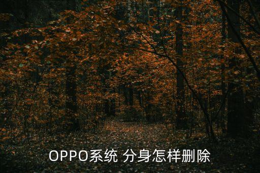 OPPO系统 分身怎样删除