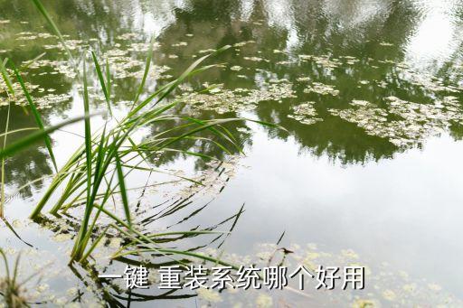 一键 重装系统哪个好用